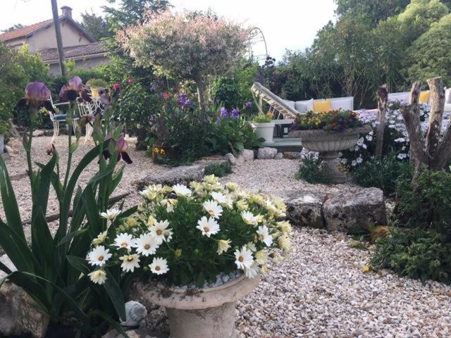 Chez Brown Bed and Breakfast Saint-Thomas-de-Cônac Eksteriør billede