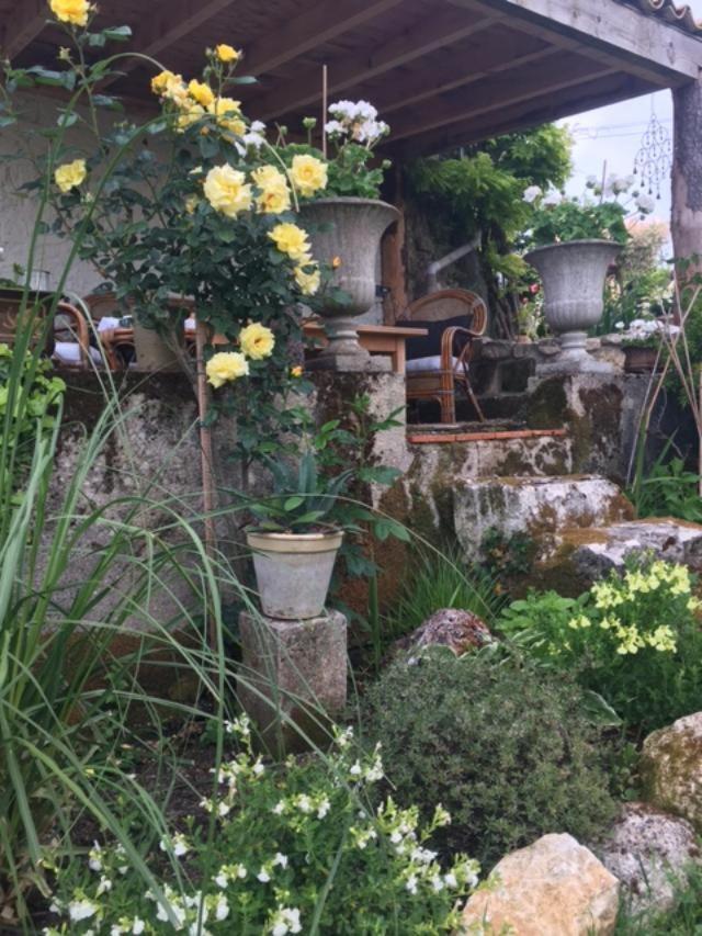 Chez Brown Bed and Breakfast Saint-Thomas-de-Cônac Eksteriør billede